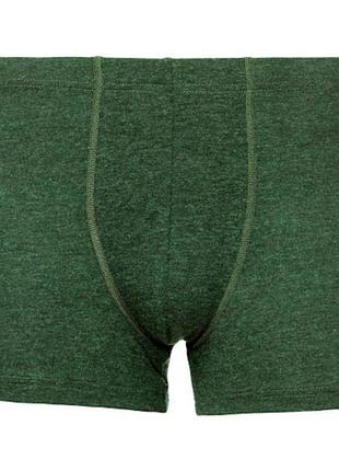 Трусы turbat retezat boxer mns kombu green