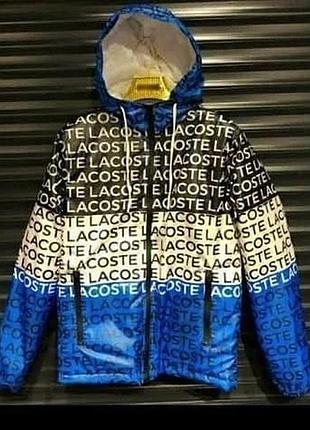 Куртка lacoste three color(утепленная) l