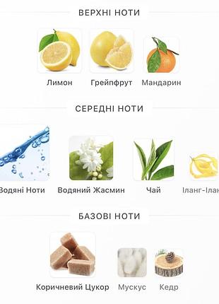 Acqua di gioia eau fraîche 3