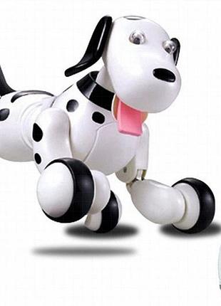 Happy cow smart robot dog – чёрный радиоуправляемый робот-собака с реалистичной мимикой и пультом управления на 2,4 ггц