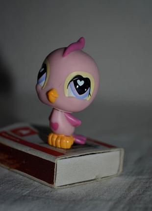 Пташка пташеня пет шопи pet shop іграшки зоомагазин littlest pet shop lps оригінал