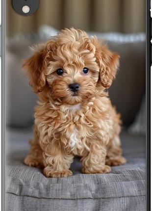 Чохол на iphone xr mini-maltipoo "6158u-1560-851"