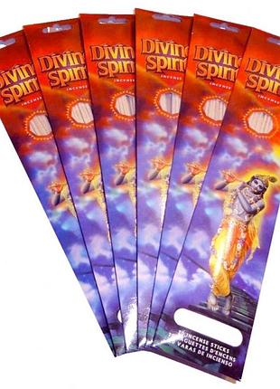 Divine spirit patchouli - пачулі (20 паличок)