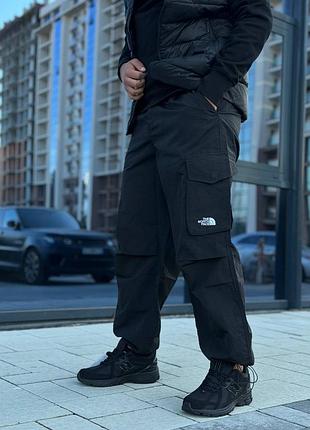 Чоловічі спортивні штани the north face