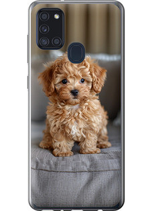 Чехол на samsung galaxy a21s a217f mini-maltipoo "6158u-1943-851"