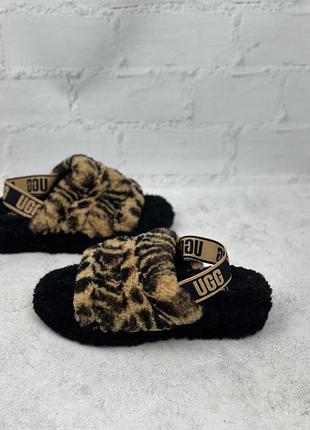Жіночі тапки ugg