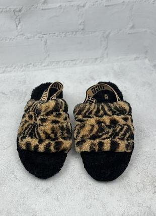 Жіночі тапки ugg 2