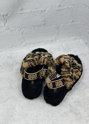 Жіночі тапки ugg 5