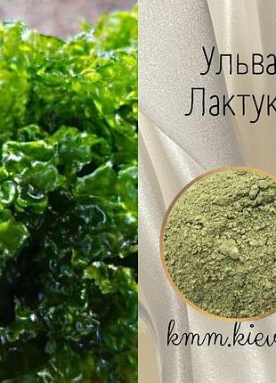 Пудра водоростей ульва лактука (аонорі) китай - 10г