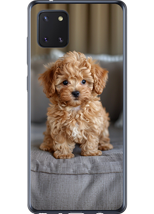 Чохол на samsung galaxy note 10 lite mini-maltipoo "6158u-1872-851"