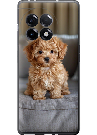 Чохол на oneplus ace 2 5g mini-maltipoo "6158u-4043-851"