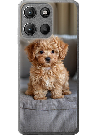 Чохол на motorola moto g15 mini-maltipoo "6158u-3948-851"