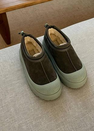 Ugg , жіночі угги 5