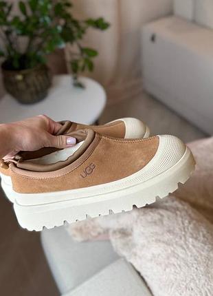 Ugg , жіночі угги 4