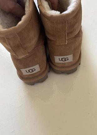 Ugg сапоги 3