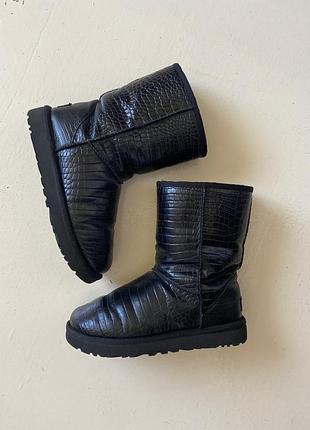 Ugg чоботи