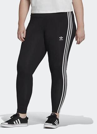 Лосіни adidas великий розмір котонові