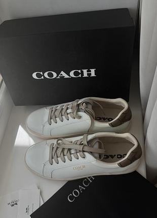 Кеди coach білі з коричневою вставкою