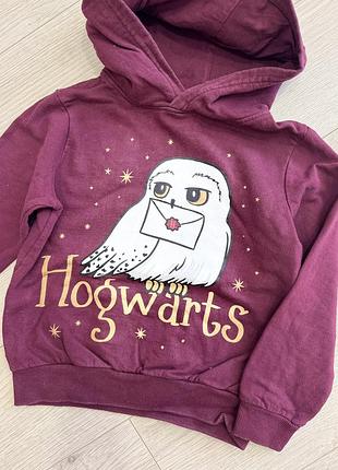 Худі кофта толстовка harry potter 2