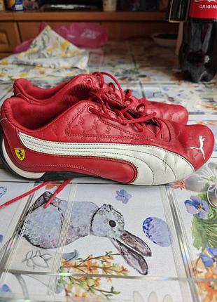 Шкіряні жіночі кросівки puma x scuderia ferrari