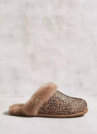 Тапочки домашні оригінал ugg рр.37-37.5