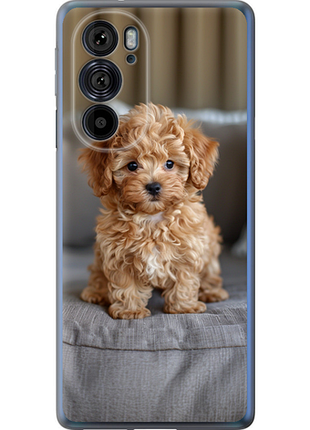 Чохол на motorola edge 30 pro mini-maltipoo "6158u-2826-851"