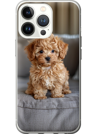 Чохол на iphone 13 pro mini-maltipoo "6158u-2372-851"