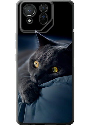 Чохол на asus rog phone 8 димчастий кіт "825u-3696-851"