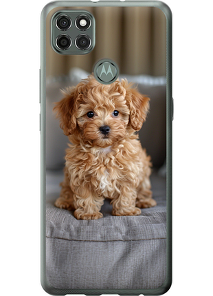 Чохол на motorola g9 power mini-maltipoo "6158u-2229-851"
