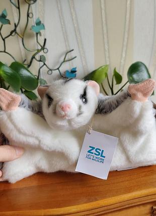 М'яка іграшка цукровий поссум / летяга zsl london zoo (оригінал з етикеткою)