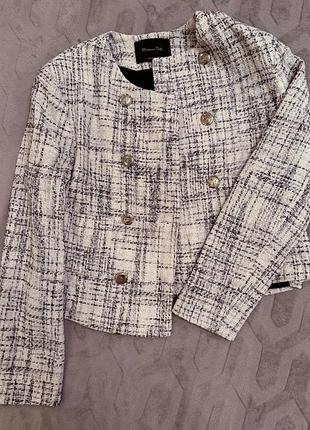 Жакет від massimo dutti