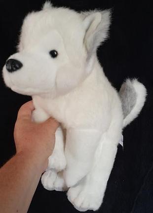 Игрушка хаски коллекционное белое щенок хаски по имени люми (lumi).