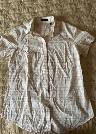 Поло burberry