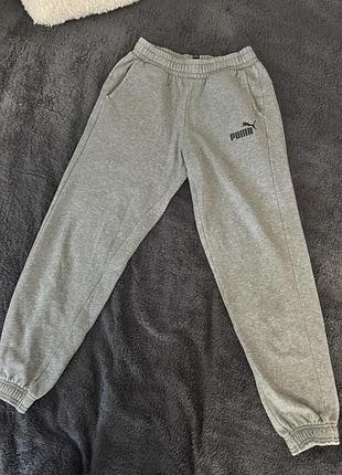 Спортивні штани puma