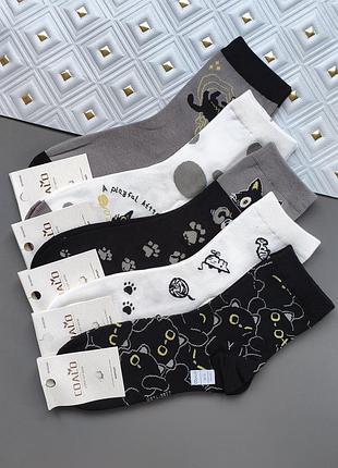Набор 5 пар женских высоких носков coalo socks с принтом котиков размер 36-41