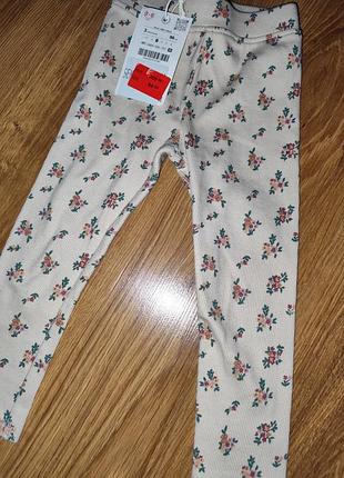 Лосинки zara