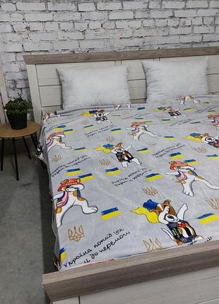 Пледы из флиса пес патрон серый двуспальный