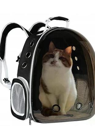 Переноска для кота