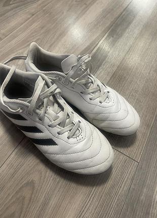 Шкіряні копки adidas