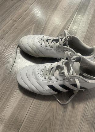 Шкіряні копки adidas 2