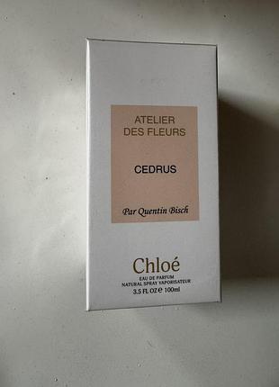 Chloe cedrus
