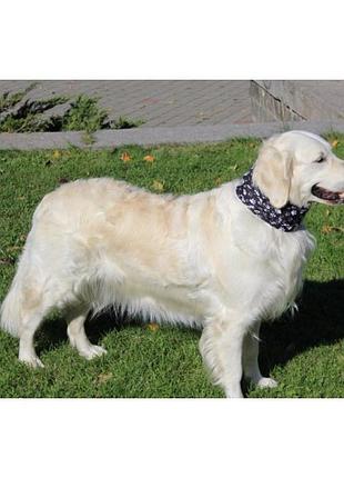 Бафф reflective dog r-traces buff® m/l 2