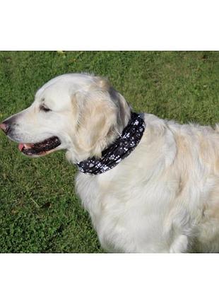 Бафф reflective dog r-traces buff® m/l 3