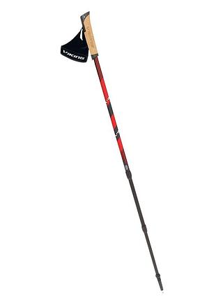 Палки для скандинавской ходьбы viking kube pro nordic walking 650/22/1743