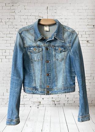 Котоновий піджак h&m 3