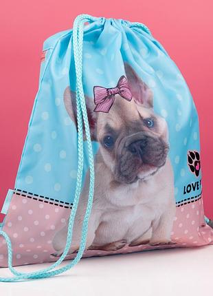 Сумка для взуття 1 вересня sb-10 dolly dog 533486 40х35 см 4919450