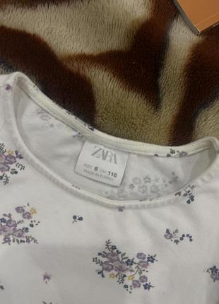 Реглан zara 3