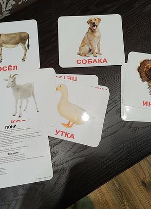 Карточки умопомрачительные развивающие