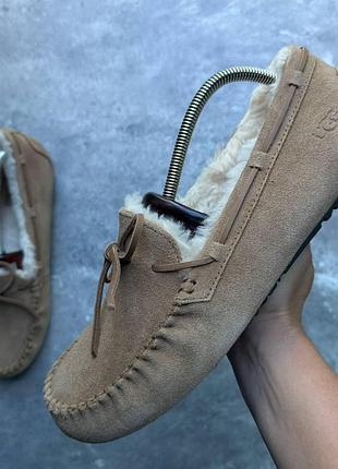 Кросівки чоловічі ugg dakota (43 (29 см))