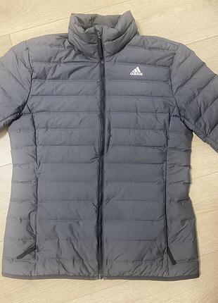 Куртка стограмівка adidas